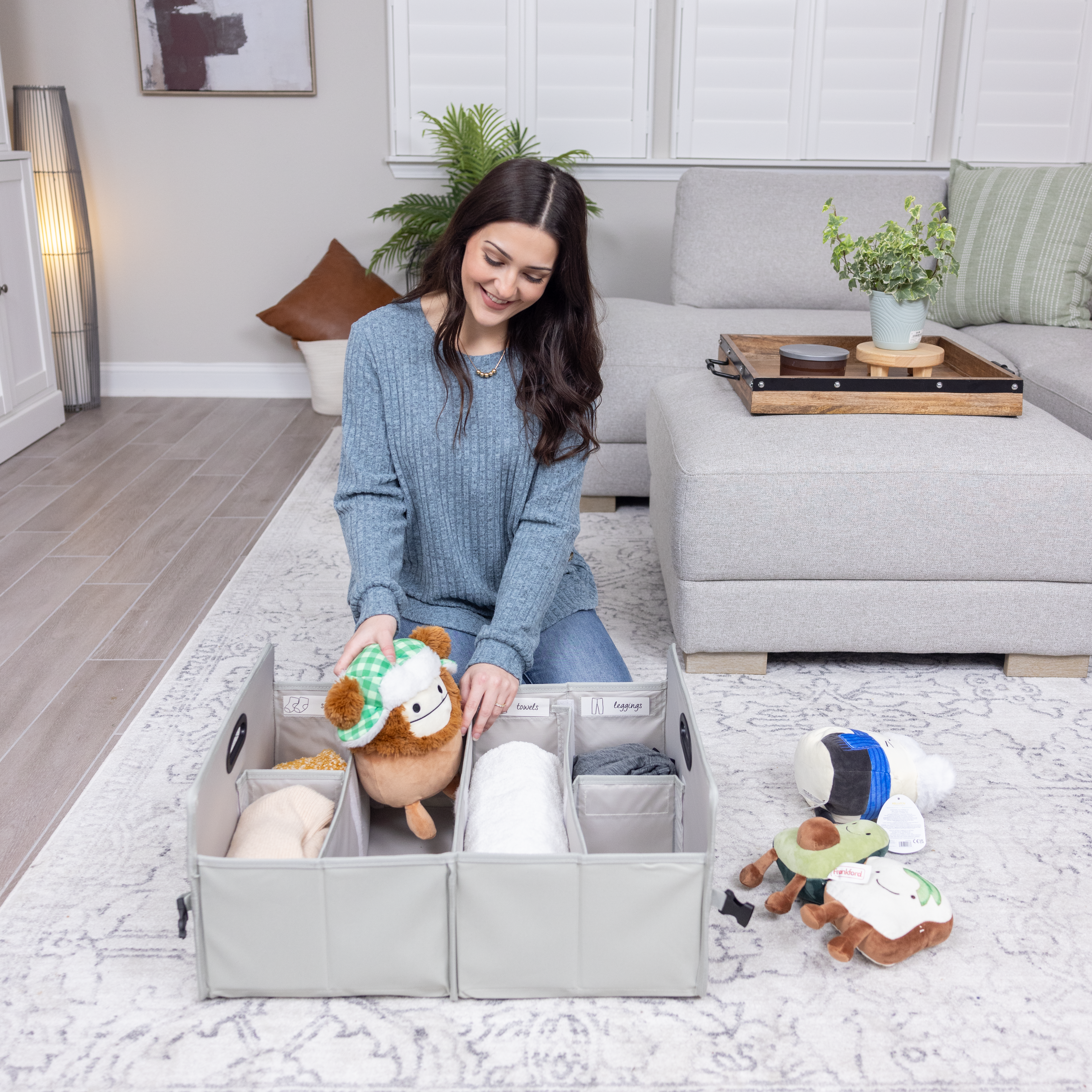 EZ Laundry Fold & Stow